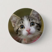 Een schattig kitten met groene ogen ronde button 5,7 cm (Voorkant)