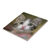 Een schattig kitten met groene ogen tegeltje (Zijkant)