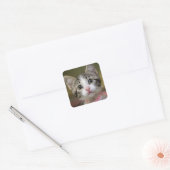 Een schattig kitten met groene ogen vierkante sticker (Envelop)