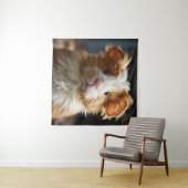 Een schattig krullend Texels cavia met zacht bont Wandkleed (In Situ (horizontaal))