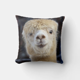 Een schattig pluizig gezicht van een alpaca kussen