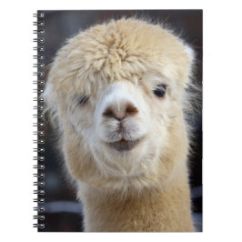 Een schattig pluizig gezicht van een alpaca       notitieboek