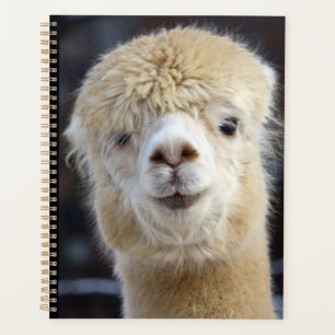 Een schattig pluizig gezicht van een alpaca    planner