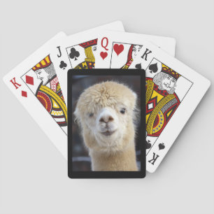Een schattig pluizig gezicht van een alpaca    pokerkaarten