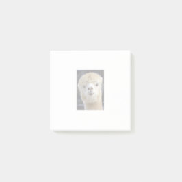 Een schattig pluizig gezicht van een alpaca     post-it® notes