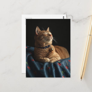 Een Schattig Slaperig Oranje Katje  Briefkaart