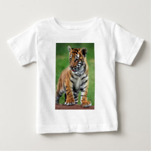 Een schattige baby tijger