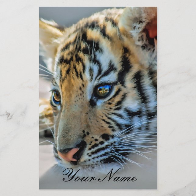 Een schattige baby tijger (Voorkant)