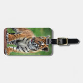 Een schattige baby tijger bagagelabel (Voorkant horizontaal)