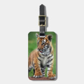 Een schattige baby tijger bagagelabel (Voorkant verticaal)