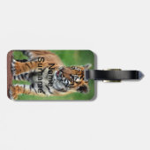 Een schattige baby tijger bagagelabel (Achterkant horizontaal)