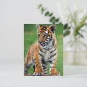 Een schattige baby tijger briefkaart (Staand voorkant)