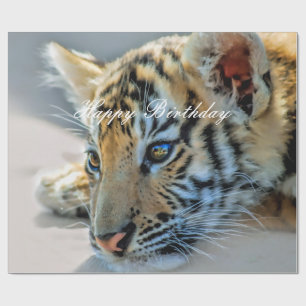 Een schattige baby tijger cadeaupapier