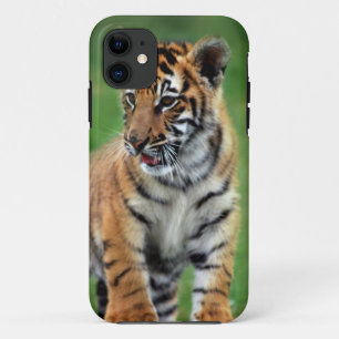 Een schattige baby tijger iPhone 11 hoesje