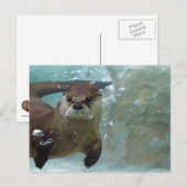 Een schattige bruine otter zwemmen in een helder b briefkaart (Voorkant / Achterkant)