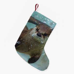 Een schattige bruine otter zwemmen in een helder b kleine kerstsok