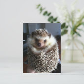 Een schattige egel briefkaart (Staand voorkant)