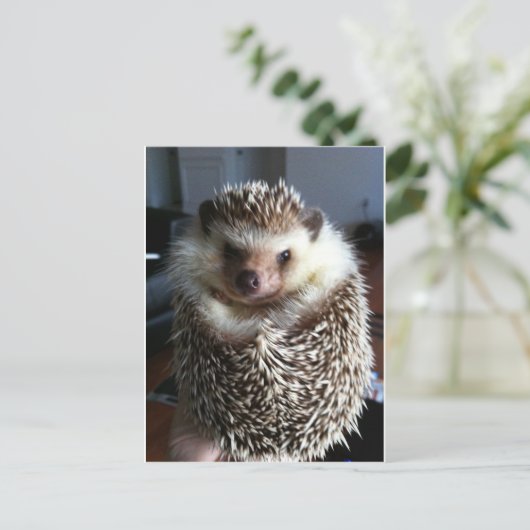 Een schattige egel briefkaart (Staand voorkant)