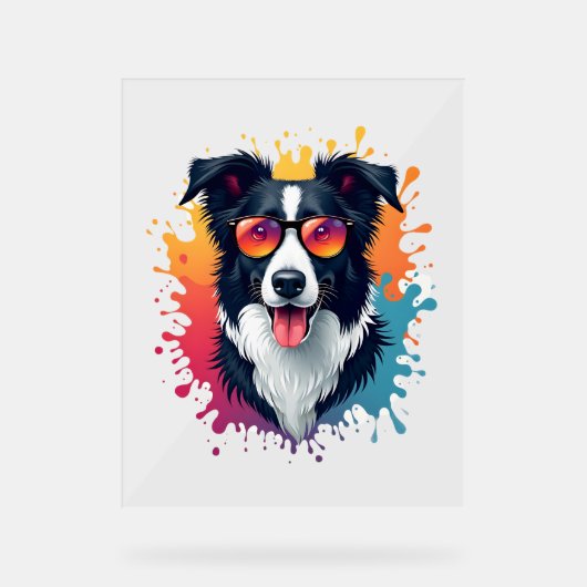 Een schattige hond Border Collie [RB#10009] Acryl Bord (Voorkant)