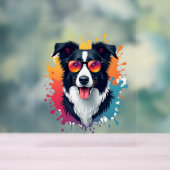 Een schattige hond Border Collie [RB#10009] Acryl Bord (Neutraal)