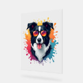Een schattige hond Border Collie [RB#10009] Acryl Bord (Hoek)