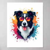 Een schattige hond Border Collie [RB#10009] Poster (Voorkant)