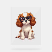 Een schattige hond King Charles Spaniel Acryl Bord (Voorkant)