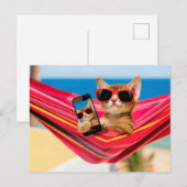 Een schattige kat lag in een hammock. briefkaart (Voorkant / Achterkant)