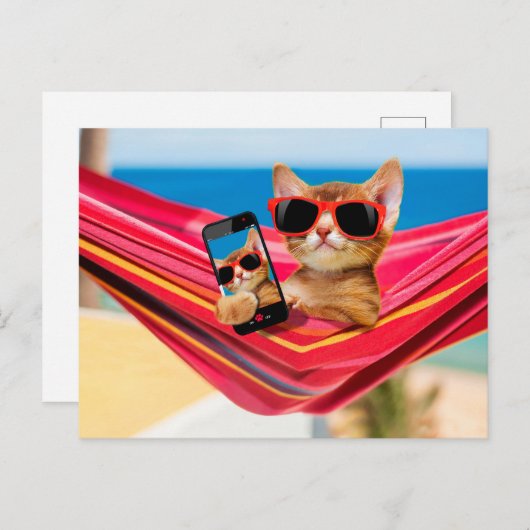 Een schattige kat lag in een hammock. briefkaart (Voorkant / Achterkant)