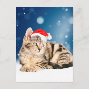 Een schattige kat met een rode kerstman hoed Kerst Feestdagenkaart