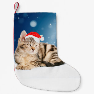 Een schattige kat met een rode kerstman hoed Kerst Kleine Kerstsok