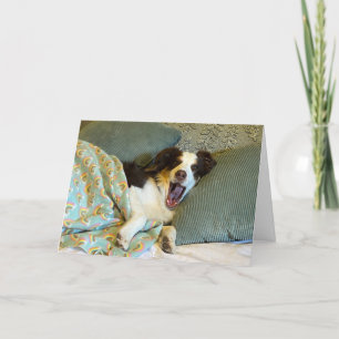 Een schattige krijgen goed kaart, hond foto bedankkaart
