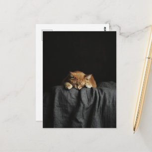 Een schattige slaperige gemberkat op zwart briefkaart