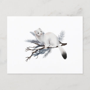 Een schattige wintermossel op een tak briefkaart