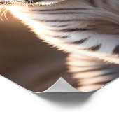 Een schattige witte tijgerwelp poster (Hoek)