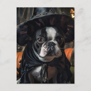 Een Schattigee Boston Terrier Halloween heks Briefkaart