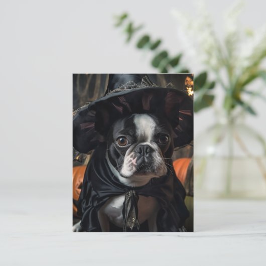 Een Schattigee Boston Terrier Halloween heks Briefkaart (Staand voorkant)