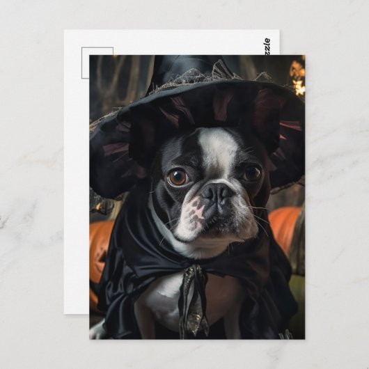 Een Schattigee Boston Terrier Halloween heks Briefkaart (Voorkant / Achterkant)