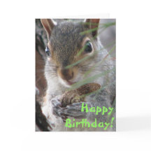 Een Schattigee eekhoorn groef een pinda Happy Birt