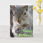 Een Schattigee eekhoorn groef een pinda Happy Birt Kaart (Gele Bloem)