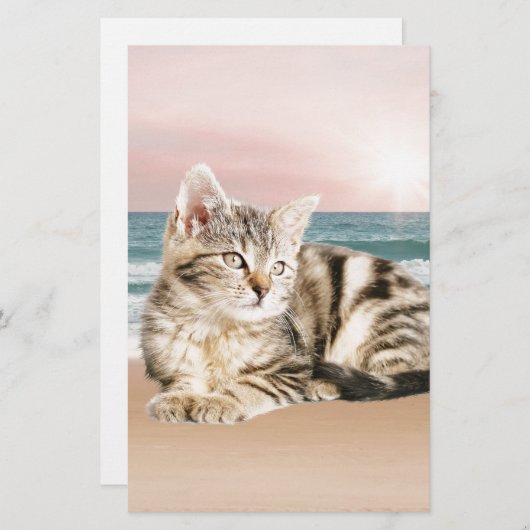 Een Schattigee Gestreepte Kat Zittend op Strand me Briefpapier (Voorkant / Achterkant)
