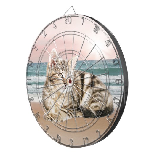 Een Schattigee Gestreepte Kat Zittend op Strand me Dartbord (Voorkant Rechts)