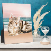 Een Schattigee Gestreepte Kat Zittend op Strand me Fotoplaat (Zijkant)