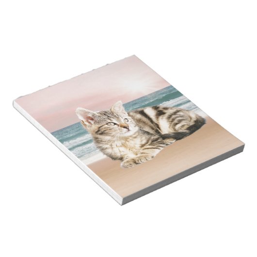Een Schattigee Gestreepte Kat Zittend op Strand me Notitieblok (Schuin)