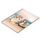 Een Schattigee Gestreepte Kat Zittend op Strand me Notitieboek (Linkerzijde)