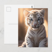 Een Schattigee witte tijgerwelp Briefkaart (Voorkant / Achterkant)