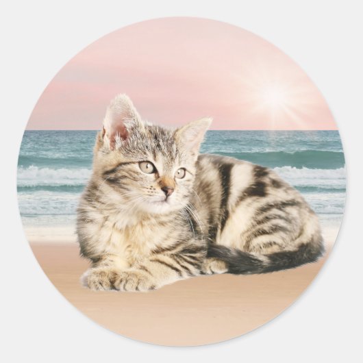 Een schattigere gestreepte kat zittend op het stra ronde sticker (Voorkant)