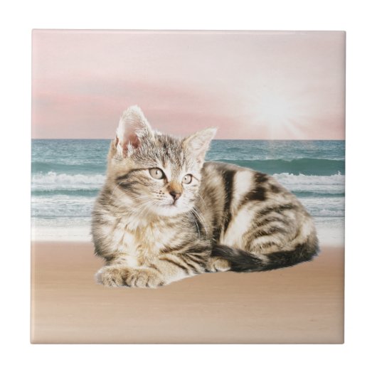 Een schattigere gestreepte kat zittend op het stra tegeltje (Voorkant)