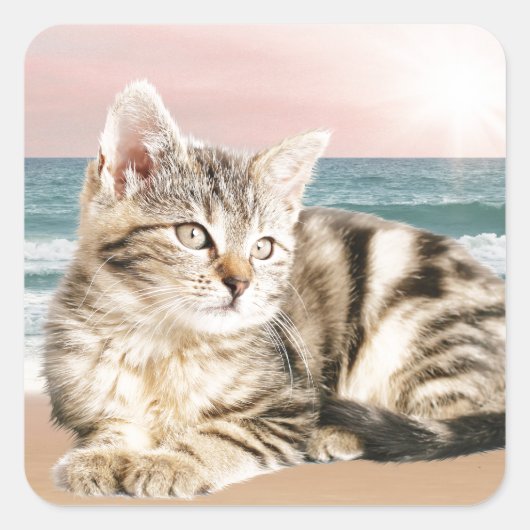 Een schattigere gestreepte kat zittend op het stra vierkante sticker (Voorkant)