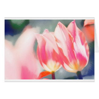 Een schets van Tulipa Duo